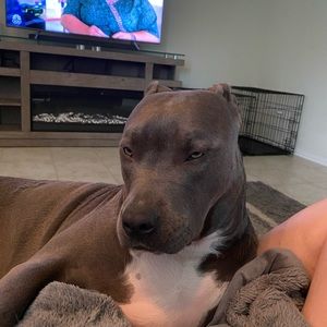 Meet your Posher, Janice